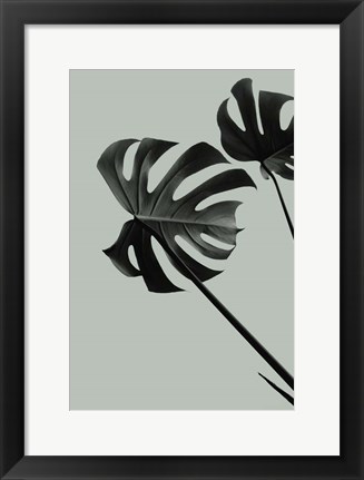 Framed Monstera Teal 9 Print