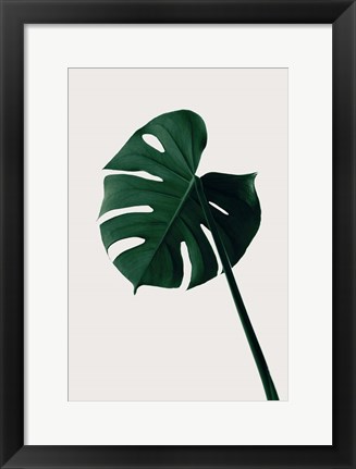 Framed Monstera Natural 7 Print