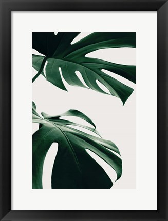 Framed Monstera Natural 12 Print