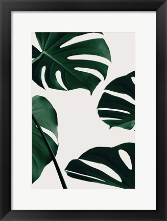 Framed Monstera Natural 2 Print