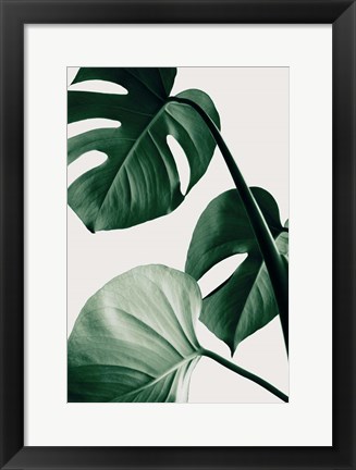 Framed Monstera Natural 42 Print