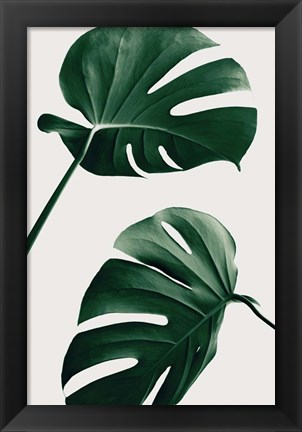 Framed Monstera Natural 46 Print