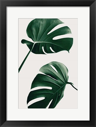 Framed Monstera Natural 46 Print