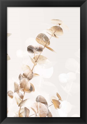 Framed Eucalyptus Creative Gold 2 Print