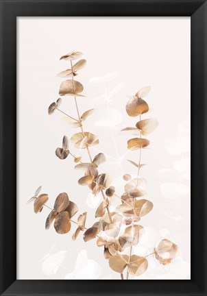 Framed Eucalyptus Creative Gold 3 Print