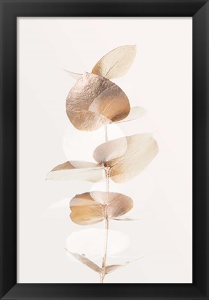 Framed Eucalyptus Creative Gold 4 Print