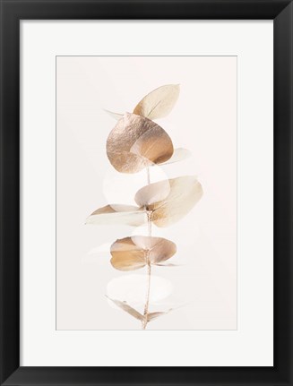 Framed Eucalyptus Creative Gold 4 Print