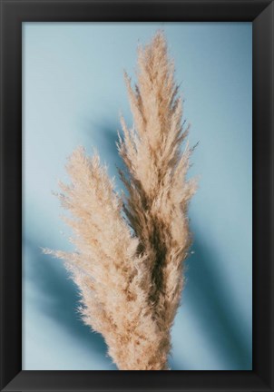 Framed Pampas Grass Blue Print