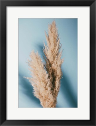 Framed Pampas Grass Blue Print