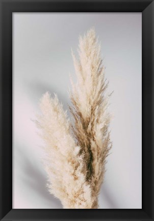 Framed Pampas Grass Grey Print