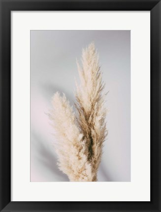 Framed Pampas Grass Grey Print