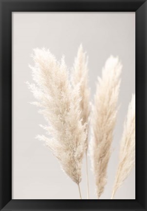 Framed Pampas Grass Grey 2 Print