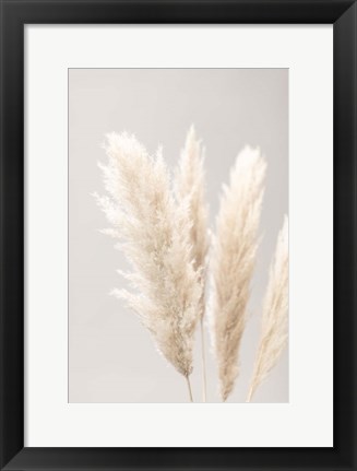 Framed Pampas Grass Grey 2 Print