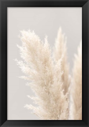 Framed Pampas Grass Grey 3 Print