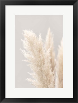 Framed Pampas Grass Grey 3 Print