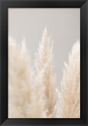 Framed Pampas Grass Grey 4 Print