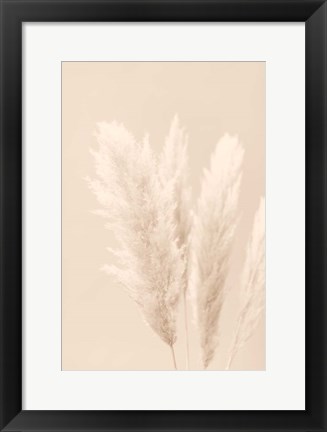 Framed Pampas Grass Beige 2 Print