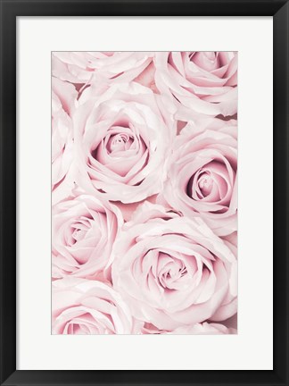 Framed Pink Roses No 2 Print