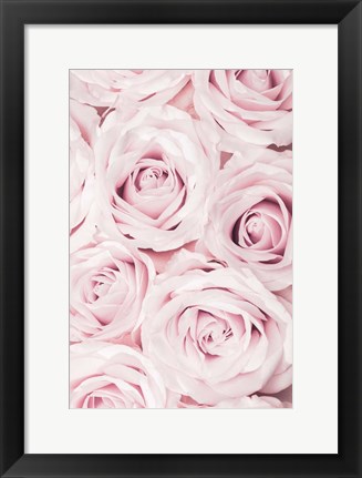 Framed Pink Roses No 2 Print