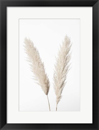 Framed Pampas White Print