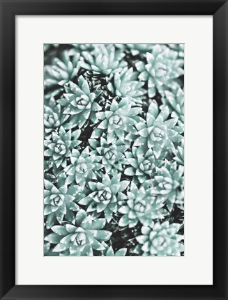 Framed Plant Print