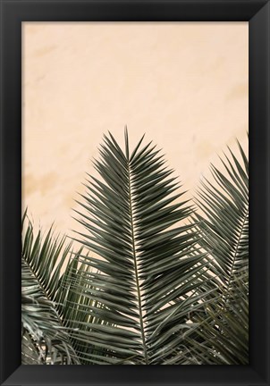 Framed Palm Leaves And Wall 1 Print