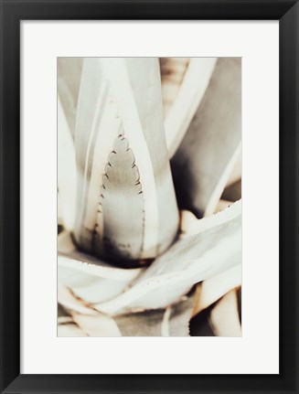 Framed Plant Close Up 1 Print