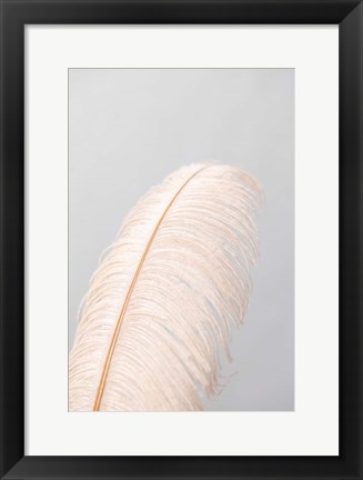 Framed Feather 1 Print