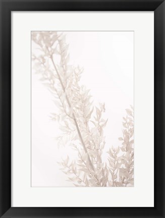 Framed Dried Straws Print