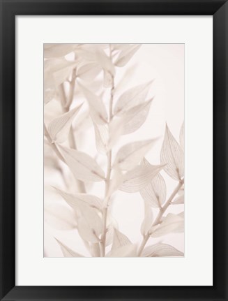 Framed Dried Straws 3 Print