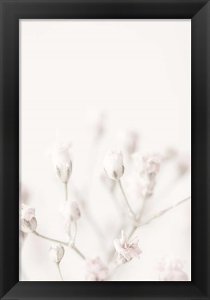 Framed Pink Small Flowers Print