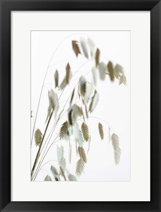 Framed Dried Grass Natural Print