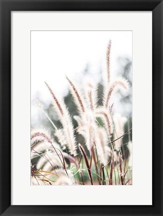 Framed Grass Print