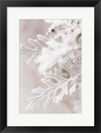 Framed Silver Leaves No 2 Print