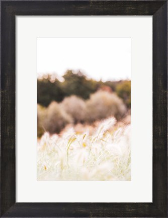 Framed Meadow Print