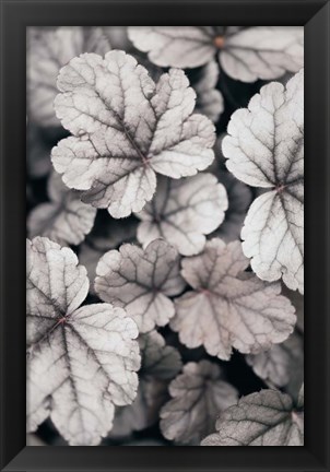 Framed Gray-pink Leaves Print