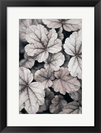 Framed Gray-pink Leaves Print