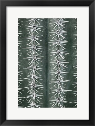 Framed Cactus Green Print