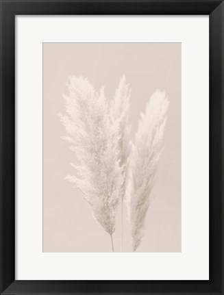 Framed Pampas Grass 2 Print