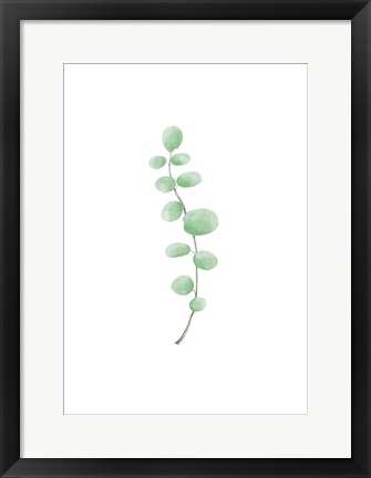 Framed Branch Print