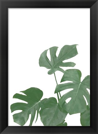 Framed Monstera Aqua 4 Print