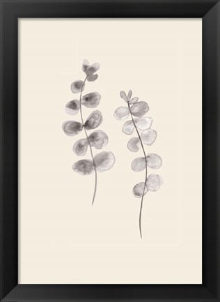 Framed Eucalyptus Twigs Print