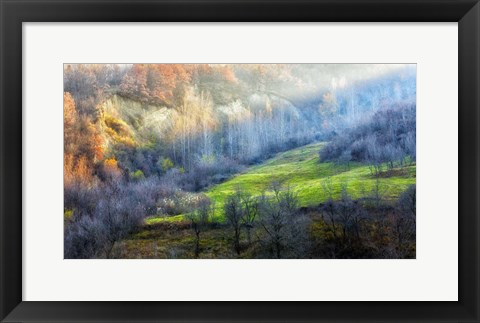 Framed November colors Print