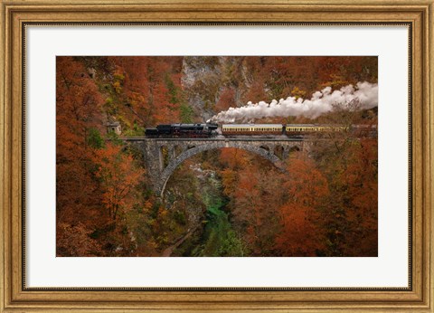 Framed Museum Train Print