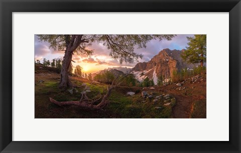 Framed Magical Morning Print