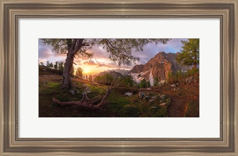 Framed Magical Morning Print