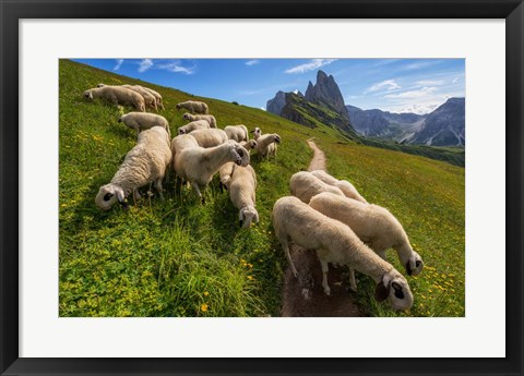 Framed On the Way to Odle mountains Print