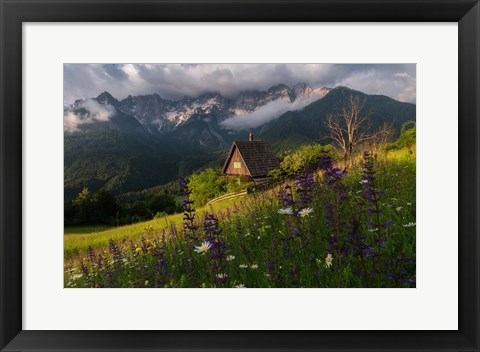 Framed On the Meadows Print