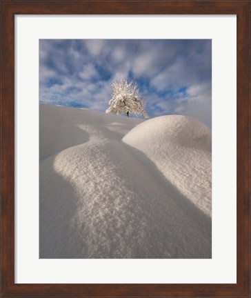 Framed Curves of a Winter Landscape Print