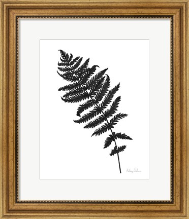 Framed Neutral Fern black I Print